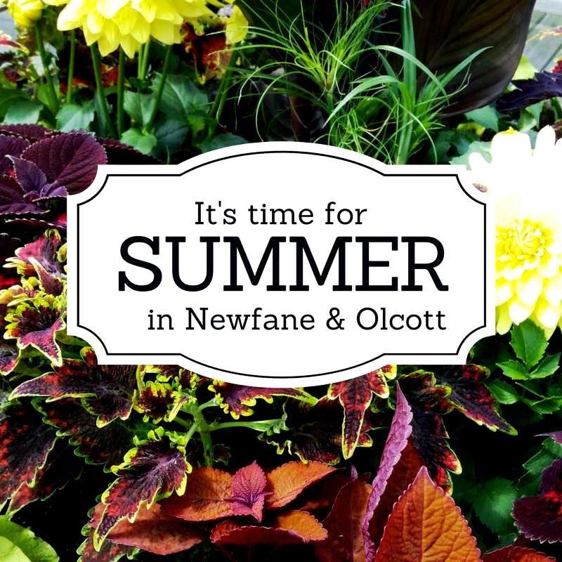 Tourism in the Olcott area